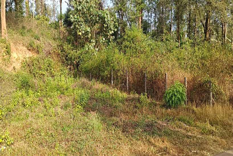 7 Cent Land For Sale Gudalur