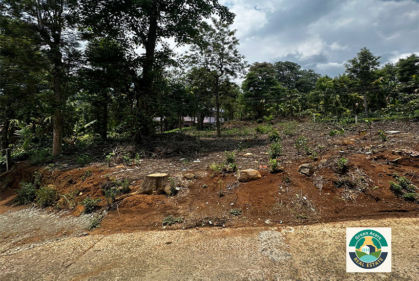 13 Cent Plot For Sale in Gudalur